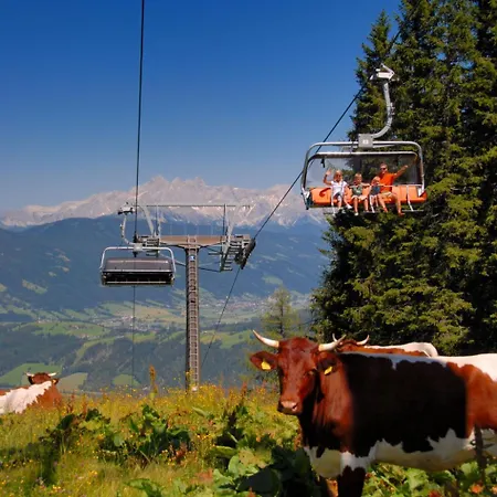 Panorama Deluxe By Interhome * Flachau